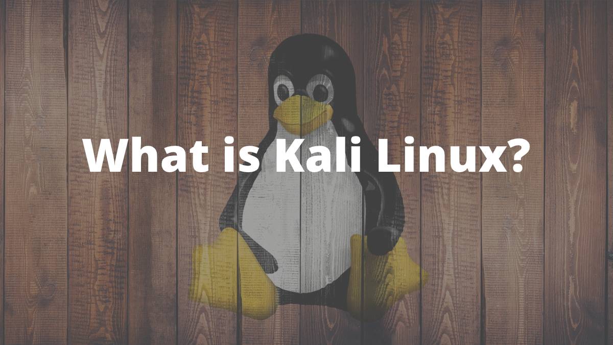 What is Kali Linux
