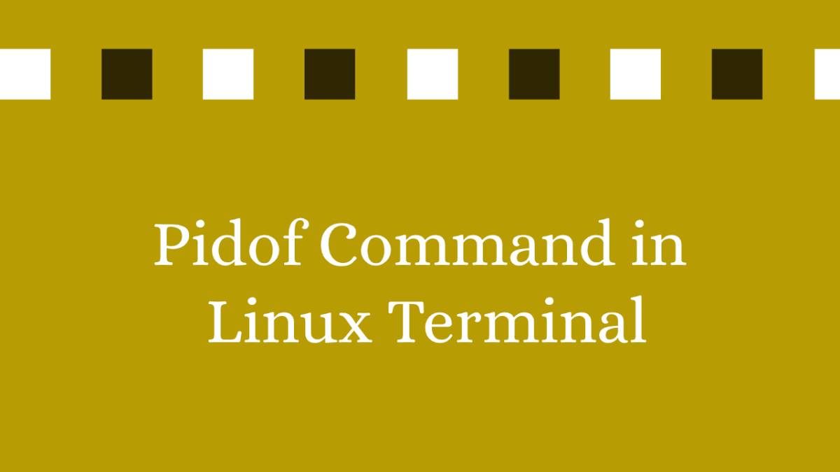 Pidof Command in Linux Terminal