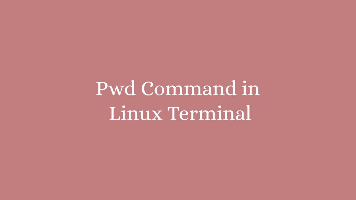 Pwd Command in Linux Terminal with examples