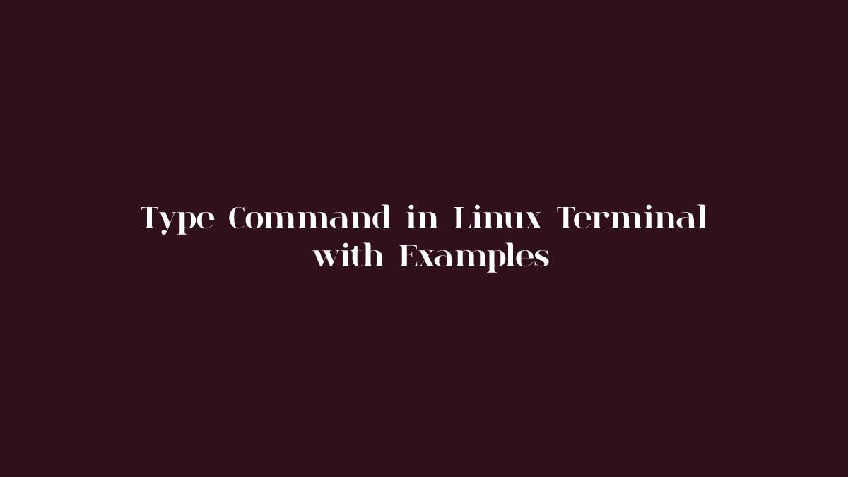 Type Command in Linux Terminal with Examples