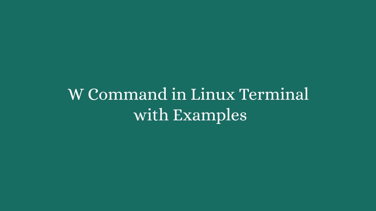W Command in Linux Terminal with Examples