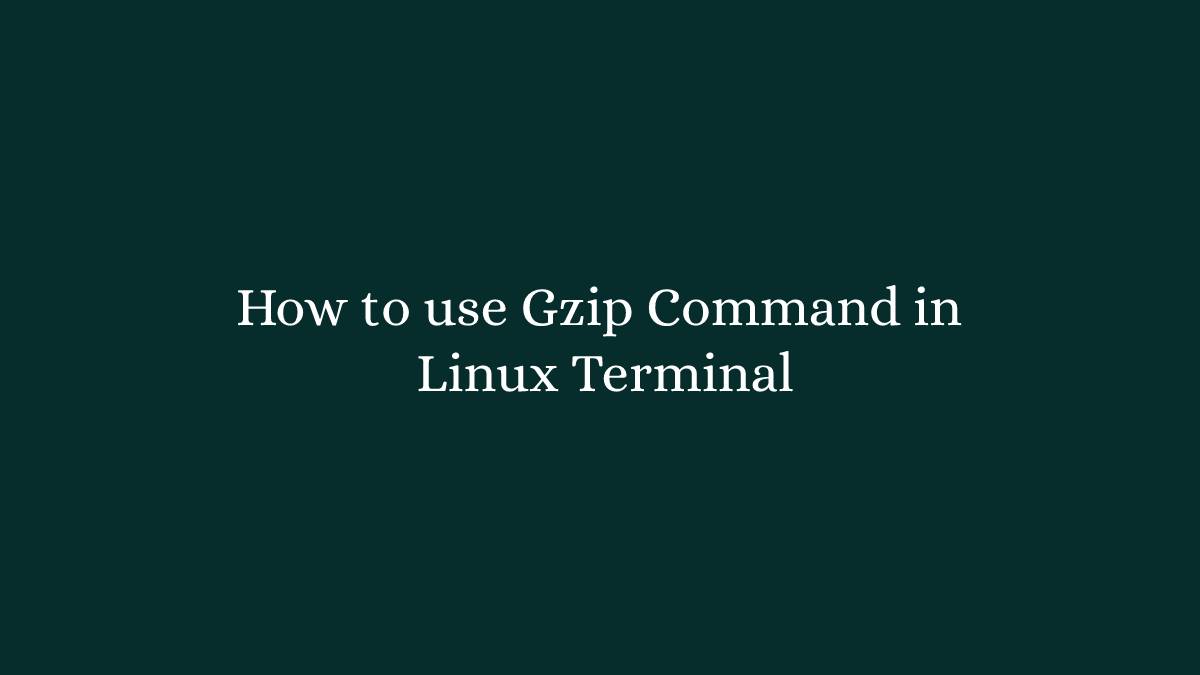 How to use Gzip Command in Linux Terminal