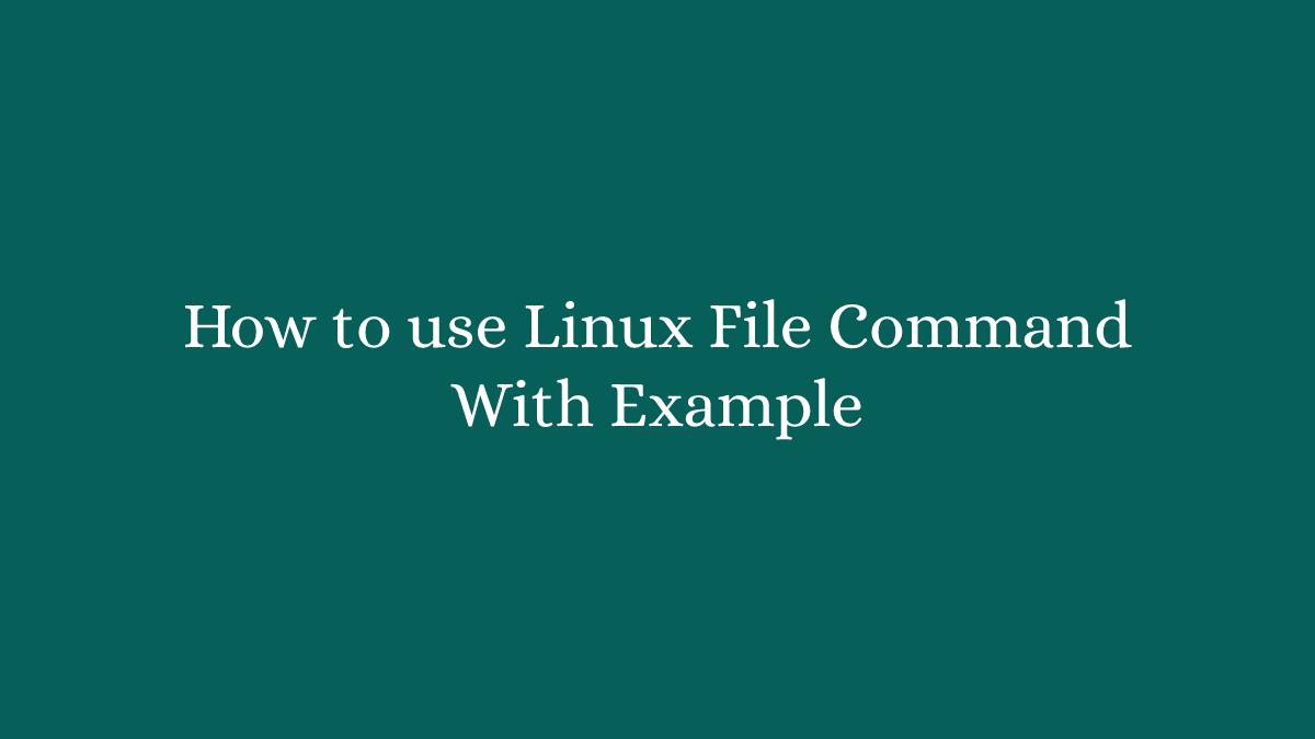 How to use Linux File Command With Example