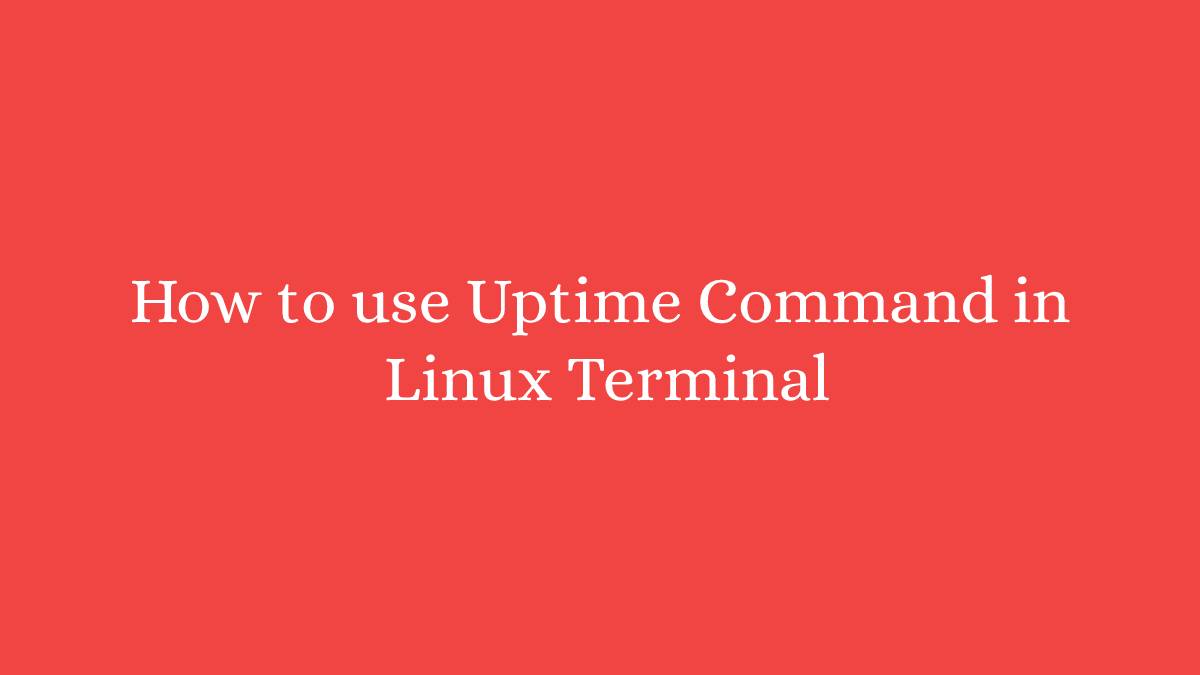 How to use Uptime Command in Linux Terminal