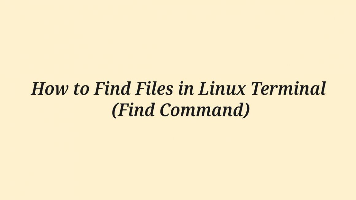 terminal find file