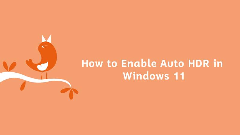 How to Enable Auto HDR in Windows 11