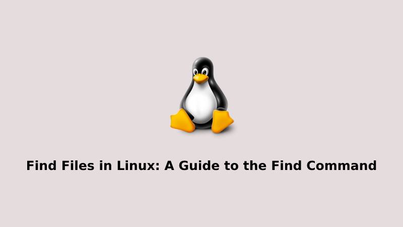 Find Files in Linux A Guide to the Find Command