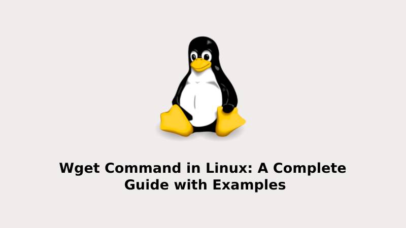 Wget Command in Linux A Complete Guide with Examples