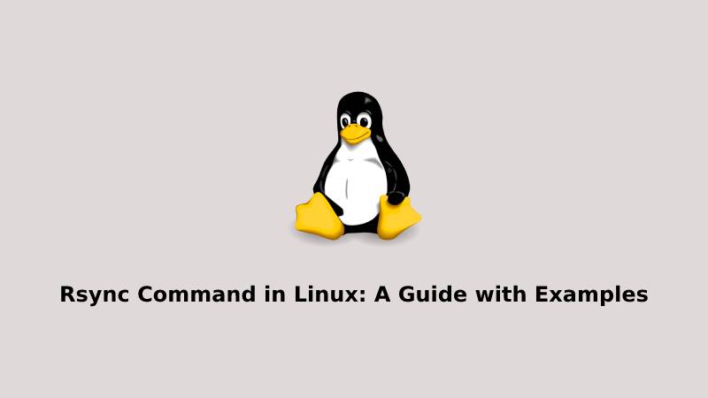 Rsync Command in Linux A Guide with Examples