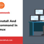 How To Install And Use exa Command in Linux