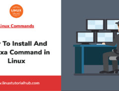 How To Install And Use exa Command in Linux